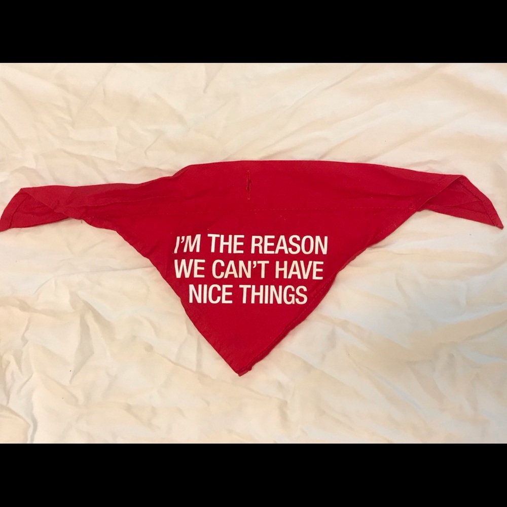 “We Can’t Have Nice Things” Dog Bandana